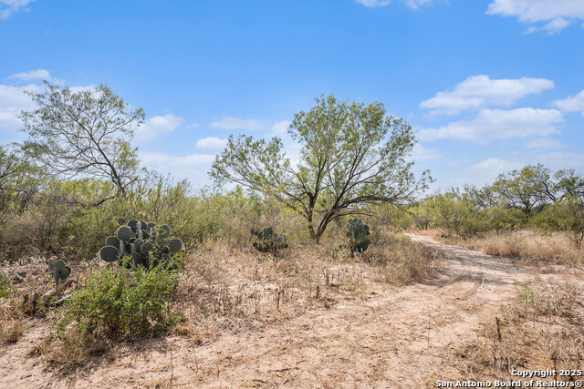 Listing photo id 27 for 545 County Road 741