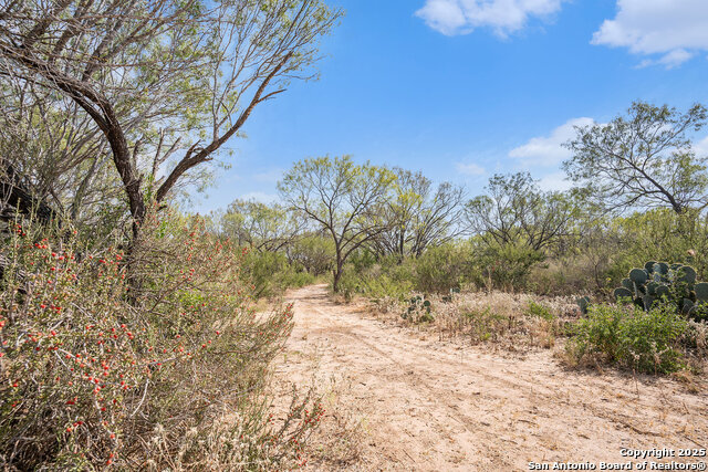 Listing photo id 28 for 545 County Road 741