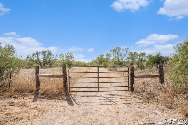 Listing photo id 29 for 545 County Road 741