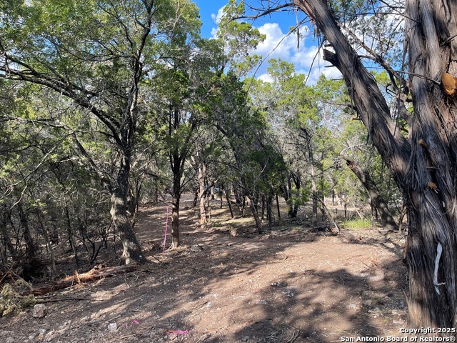 Image 10 of 15 For Tbd 36th W