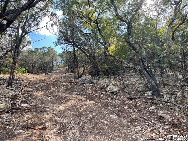 Image 11 of 15 For Tbd 36th W