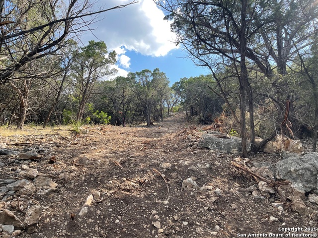 Image 12 of 15 For Tbd 36th W