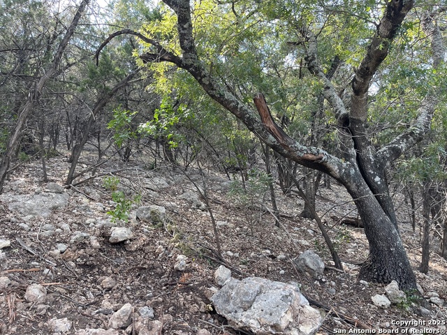 Image 13 of 15 For Tbd 36th W