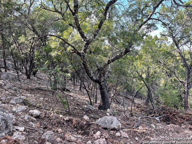 Image 15 of 15 For Tbd 36th W