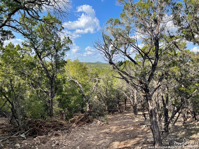 Image 2 of 15 For Tbd 36th W