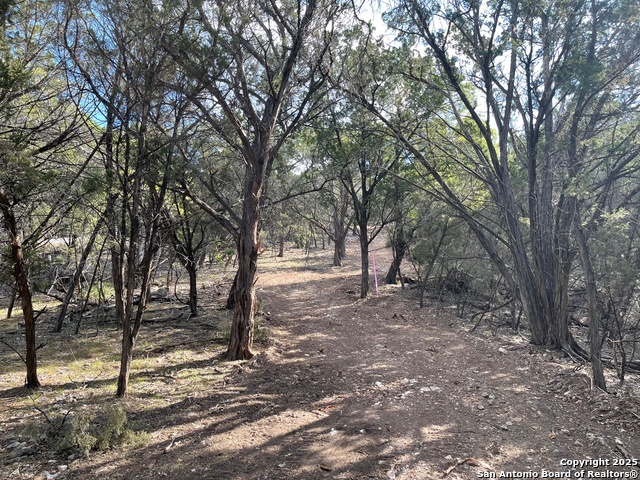 Image 3 of 15 For Tbd 36th W