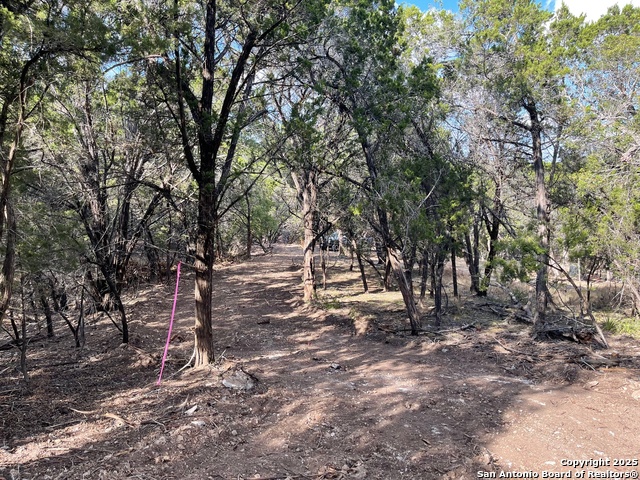 Image 4 of 15 For Tbd 36th W