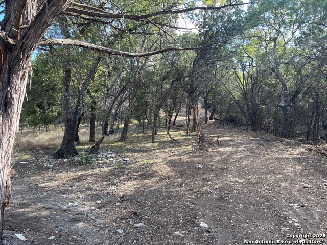 Image 5 of 15 For Tbd 36th W