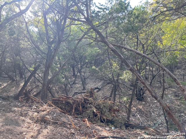 Image 6 of 15 For Tbd 36th W