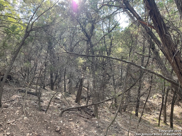 Image 7 of 15 For Tbd 36th W