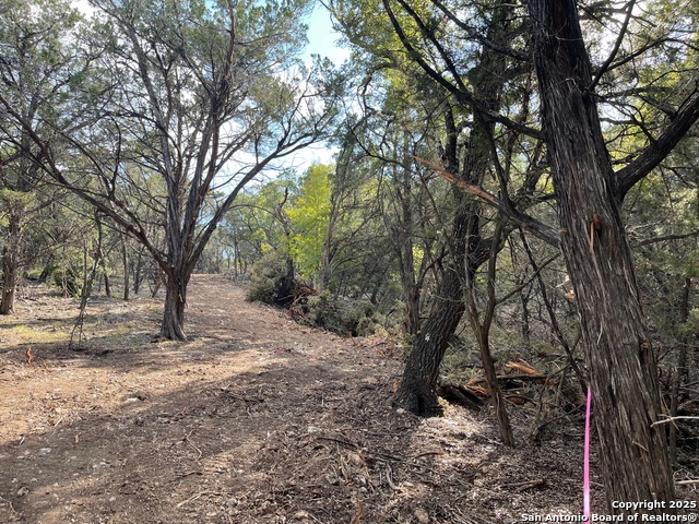 Image 8 of 15 For Tbd 36th W