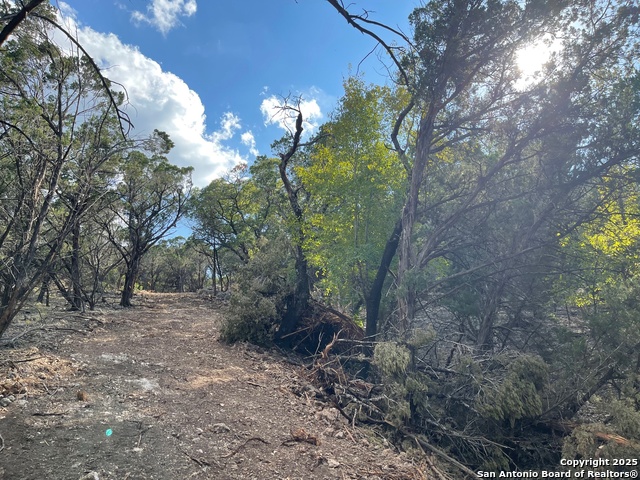 Image 9 of 15 For Tbd 36th W