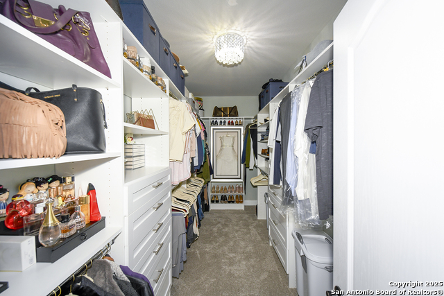 Image 17 of 36 For 1518 Bolognese