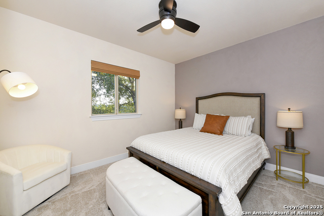 Image 20 of 36 For 1518 Bolognese