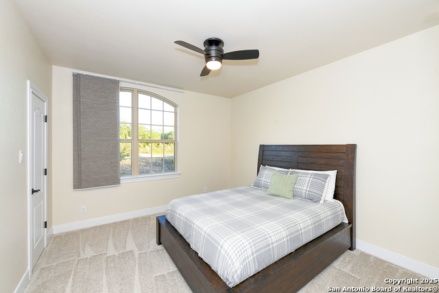 Image 21 of 36 For 1518 Bolognese