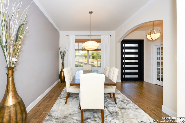 Image 8 of 36 For 1518 Bolognese