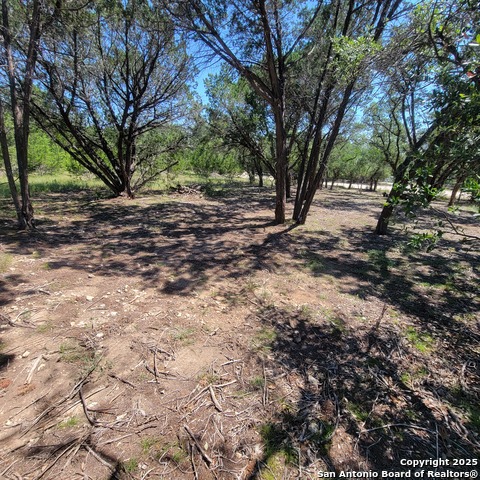 Image 2 of 6 For Tbd Timberline