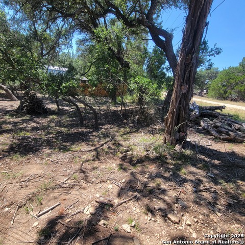 Image 6 of 6 For Tbd Timberline