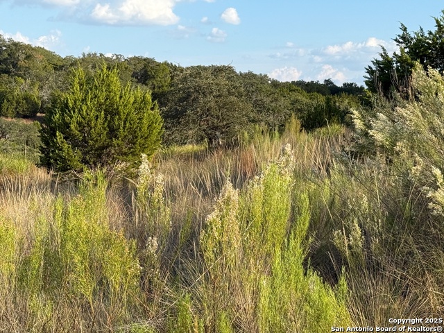 Image 10 of 11 For 142 Gadwall Way