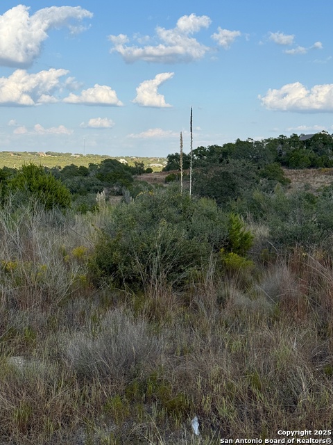 Image 3 of 11 For 142 Gadwall Way