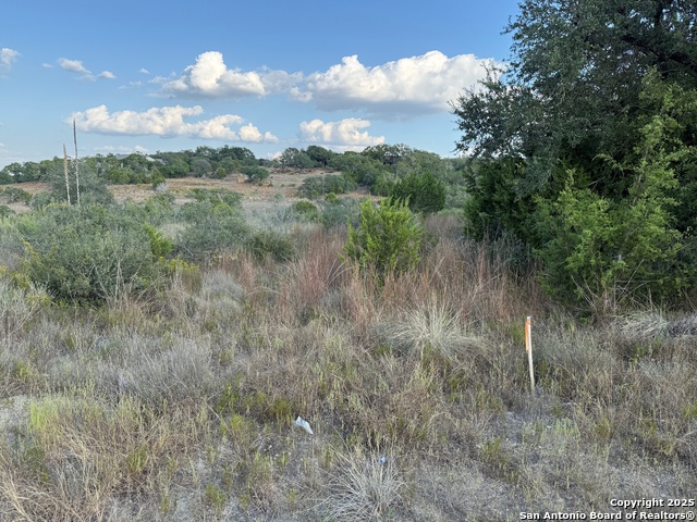 Image 5 of 11 For 142 Gadwall Way