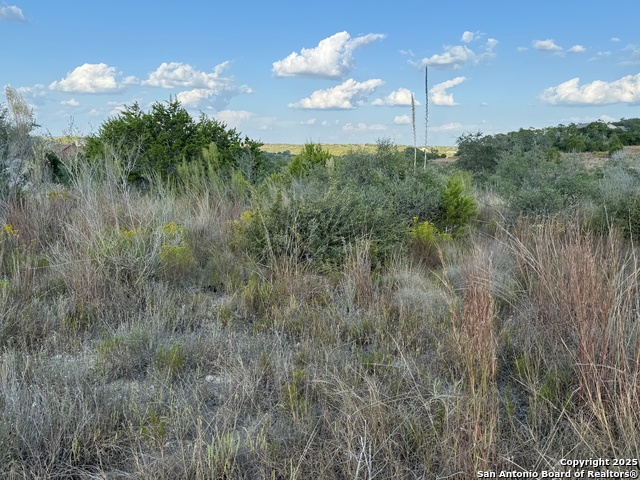 Image 6 of 11 For 142 Gadwall Way