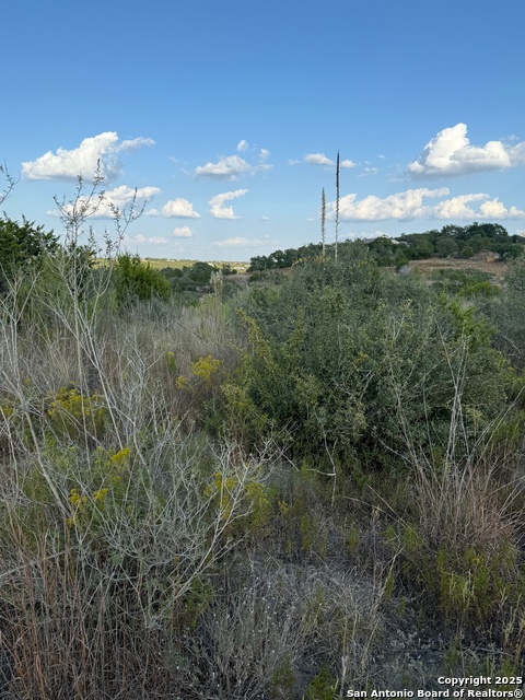 Image 7 of 11 For 142 Gadwall Way