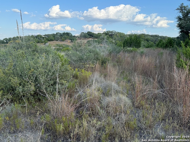 Image 8 of 11 For 142 Gadwall Way