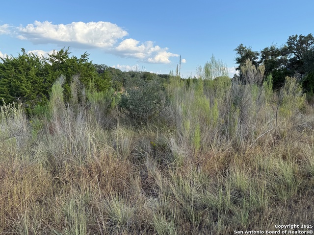 Image 9 of 11 For 142 Gadwall Way