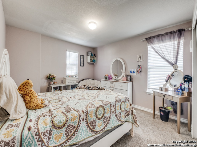 Listing photo id 16 for 6727 Hoffman Plain