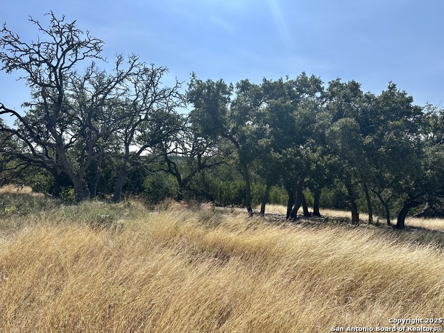 Image 13 of 44 For 0 Acorn Alley