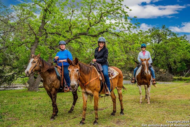 Image 35 of 44 For 0 Acorn Alley