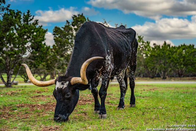 Image 43 of 44 For 0 Acorn Alley