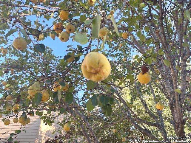 Image 36 of 42 For 7431 Monets