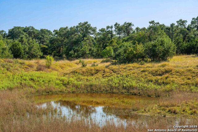 Image 3 of 50 For 147 Gray Wolf