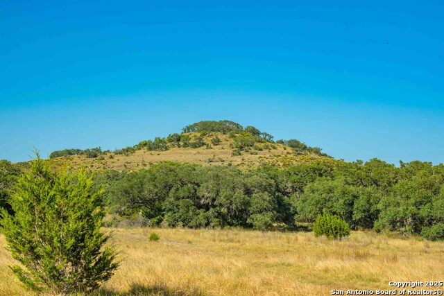 Image 37 of 50 For 147 Gray Wolf