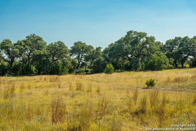 Image 38 of 50 For 147 Gray Wolf