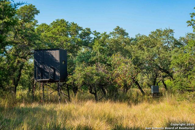 Image 39 of 50 For 147 Gray Wolf