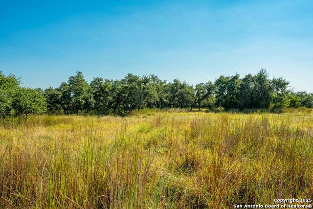 Image 4 of 50 For 147 Gray Wolf