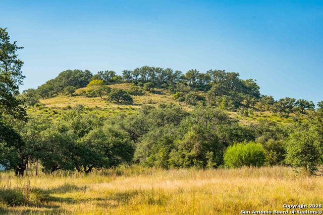 Image 41 of 50 For 147 Gray Wolf