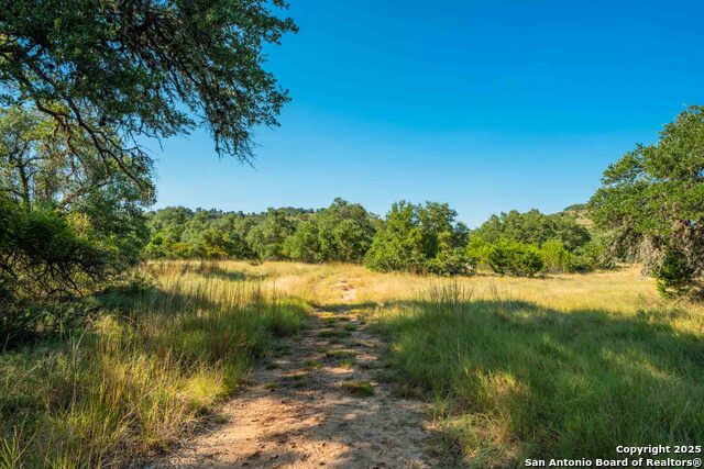 Image 44 of 50 For 147 Gray Wolf