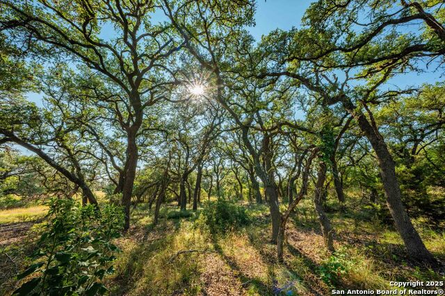 Image 45 of 50 For 147 Gray Wolf