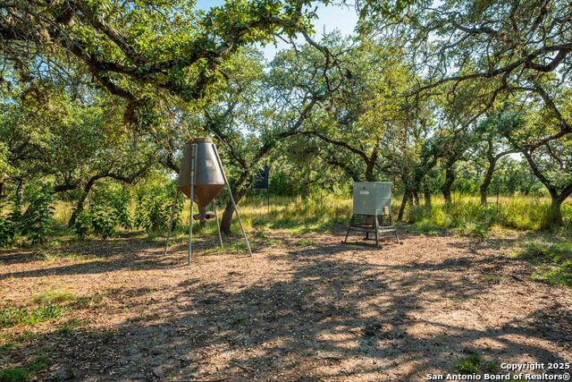 Image 46 of 50 For 147 Gray Wolf