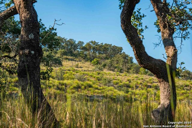Image 48 of 50 For 147 Gray Wolf