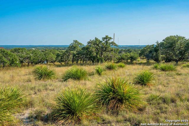 Image 49 of 50 For 147 Gray Wolf