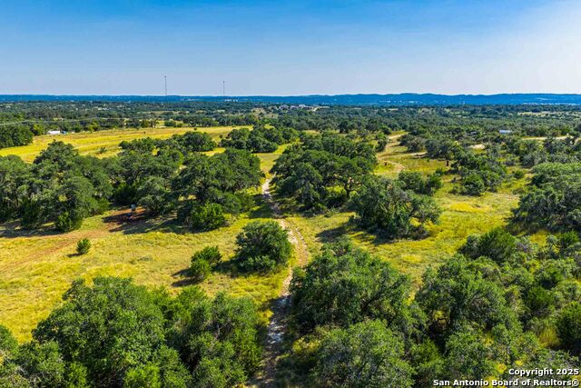 Image 50 of 50 For 147 Gray Wolf