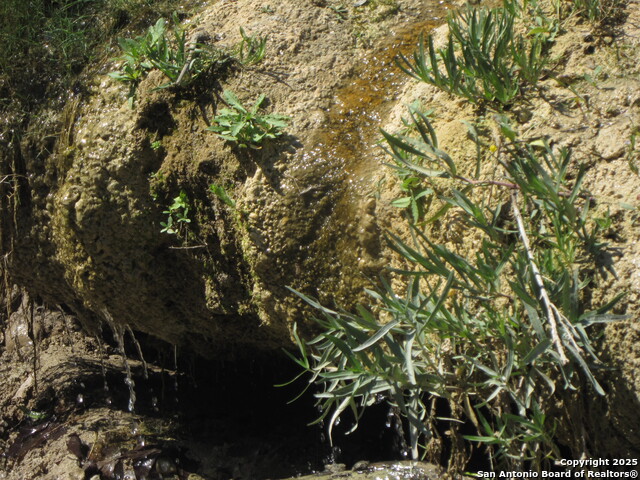 Listing photo id 28 for Address Not Provided