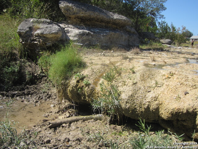 Listing photo id 29 for Address Not Provided