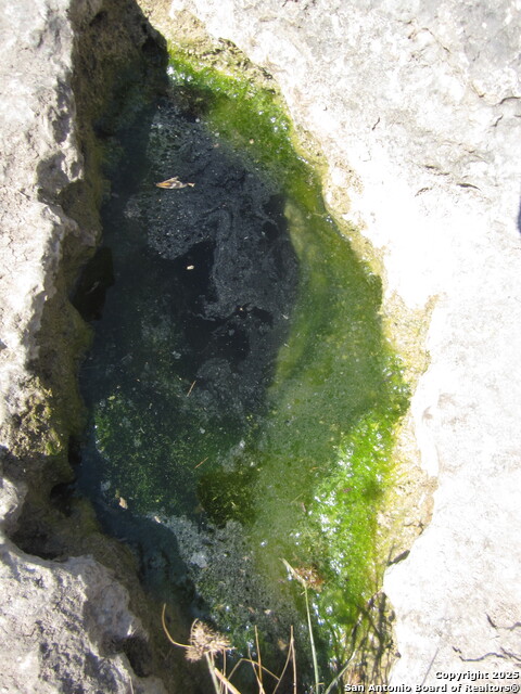 Listing photo id 30 for Address Not Provided