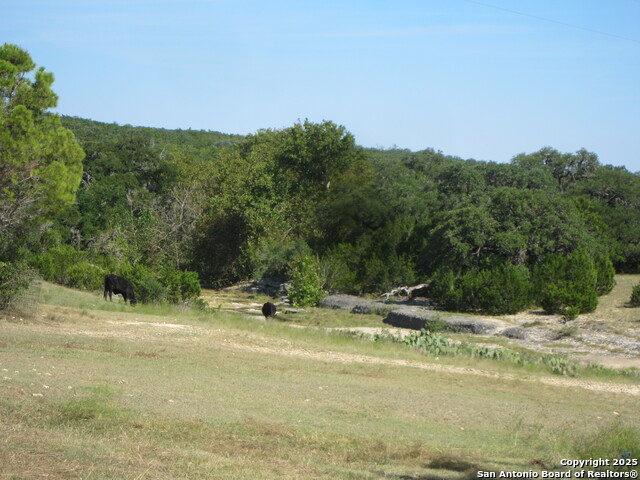 Listing photo id 35 for Address Not Provided